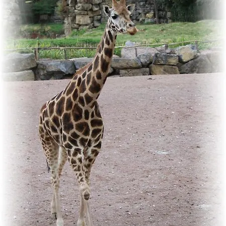 ベッド・アンド・ブレックファスト Bulle D Evasion Pres De Pairi Daiza