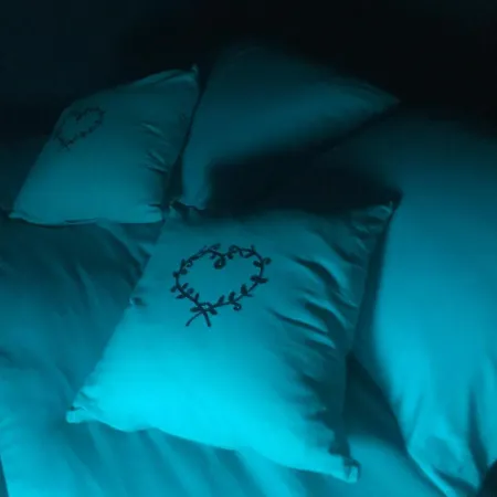 Bulle D Evasion Pres De Pairi Daiza