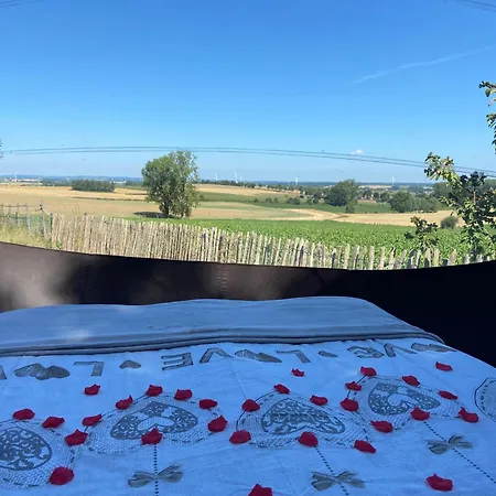 Bulle D Evasion Pres De Pairi Daiza Silly