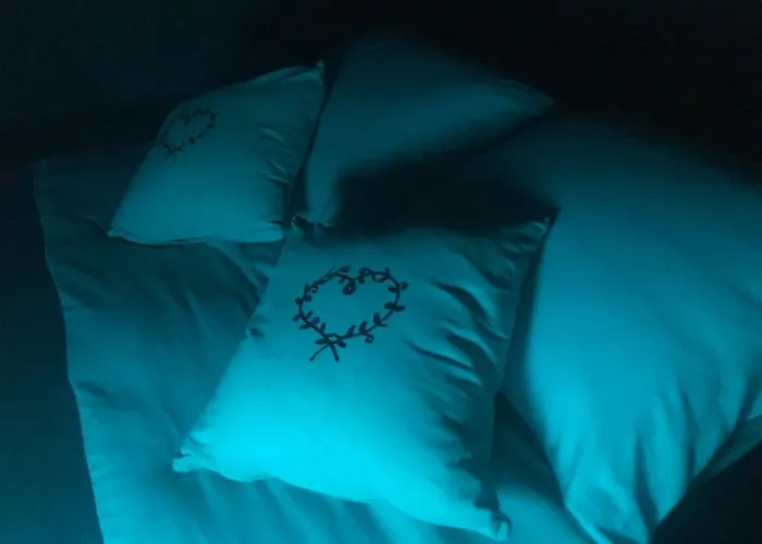 Bulle D Evasion Pres De Pairi Daiza