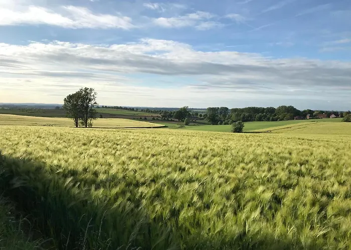 Bed & Breakfast Bulle D Evasion Pres De Pairi Daiza