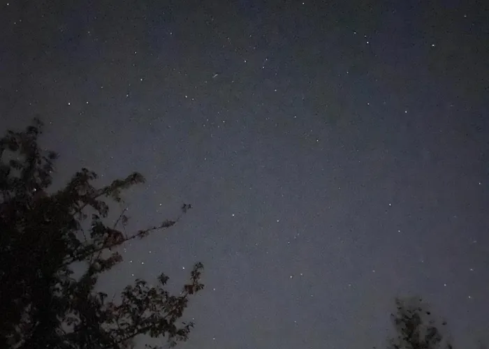 Bed & Breakfast Bulle D Evasion Pres De Pairi Daiza Silly